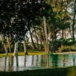014-Zuri-Watamu