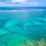 Cocokinondo-36
